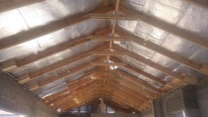 20161027_084955 (Medium)